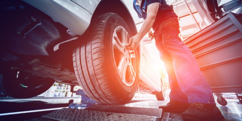 של בקלות הנאמנים לויקיפדים אחד